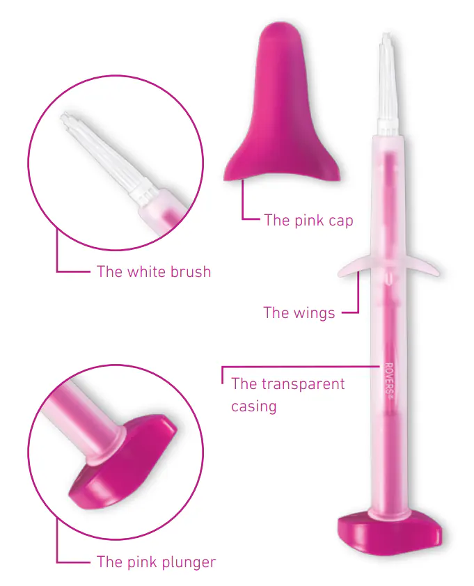 Componentes del dispositivo Evalyn Brush